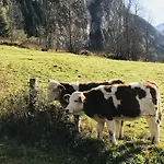 Malerwinkel, Forsthaus بيت للعطل