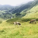 بيت للعطل Malerwinkel, Forsthaus *