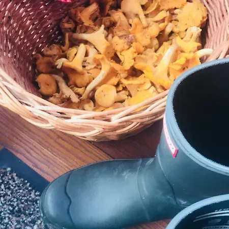 펜션 Malerwinkel, Forsthaus *