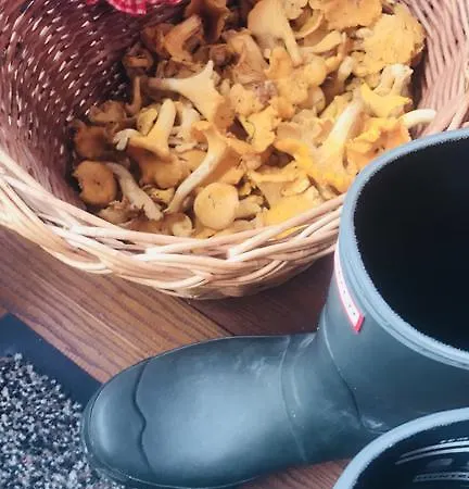 Malerwinkel, Forsthaus