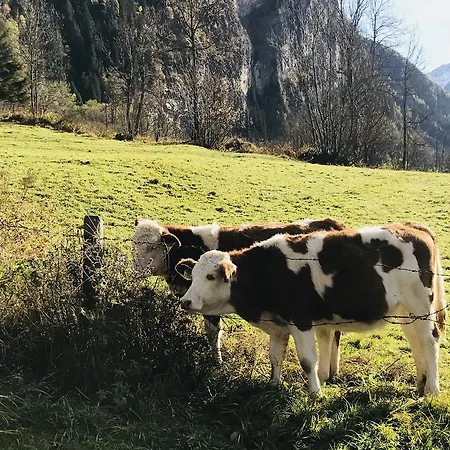 Malerwinkel, Forsthaus Feriehus