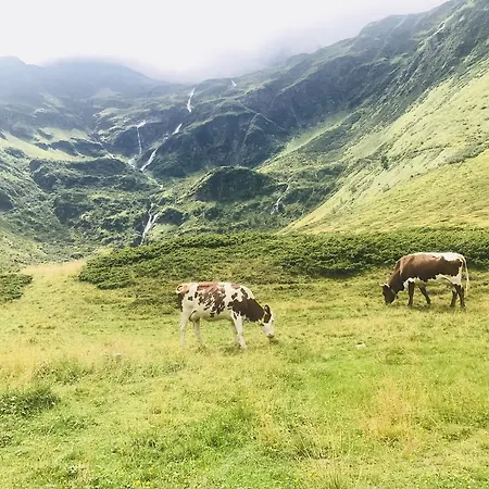 Feriehus Malerwinkel, Forsthaus *