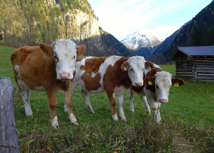 Malerwinkel, Forsthaus Tatil Evi