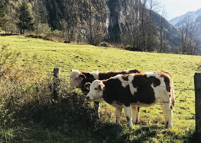 Malerwinkel, Forsthaus Tatil Evi