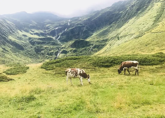 Tatil Evi Malerwinkel, Forsthaus *